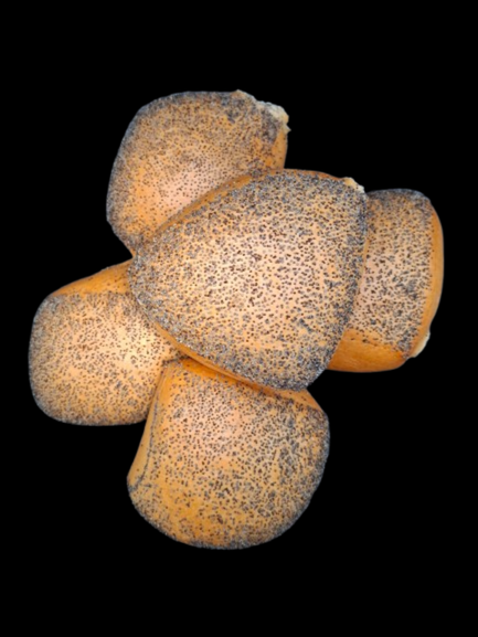 Håndværker rundstykke